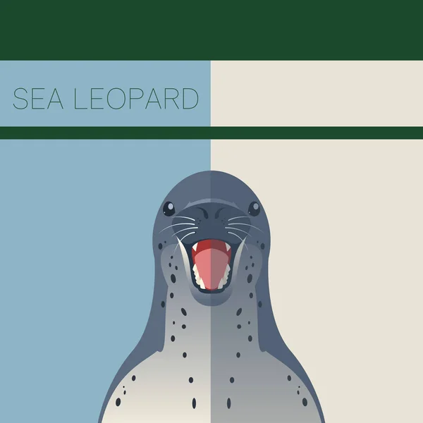 Плоская открытка Морского леопарда — стоковый вектор
