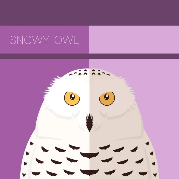 Snowy Owl flat postcard — Stock Vector