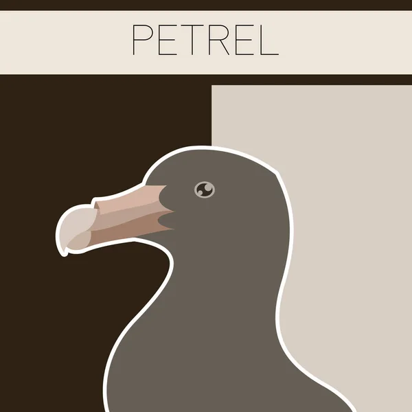 Carte postale plate Petrel — Image vectorielle