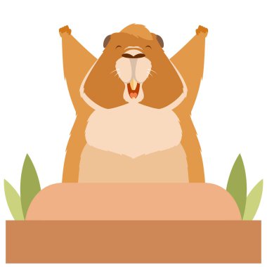 Groundhog wakes up clipart