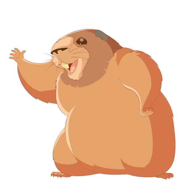 Feliz marmota de dibujos animados — Vector de stock