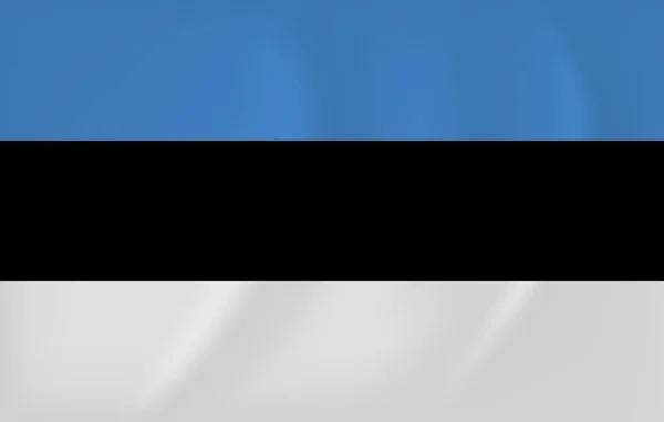 Estland schwenkt Flagge — Stockvektor