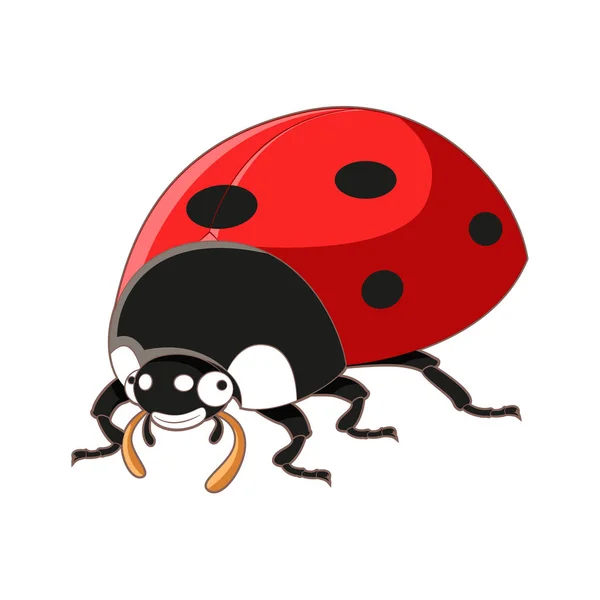Cartoon lachende lieveheersbeestje — Stockvector