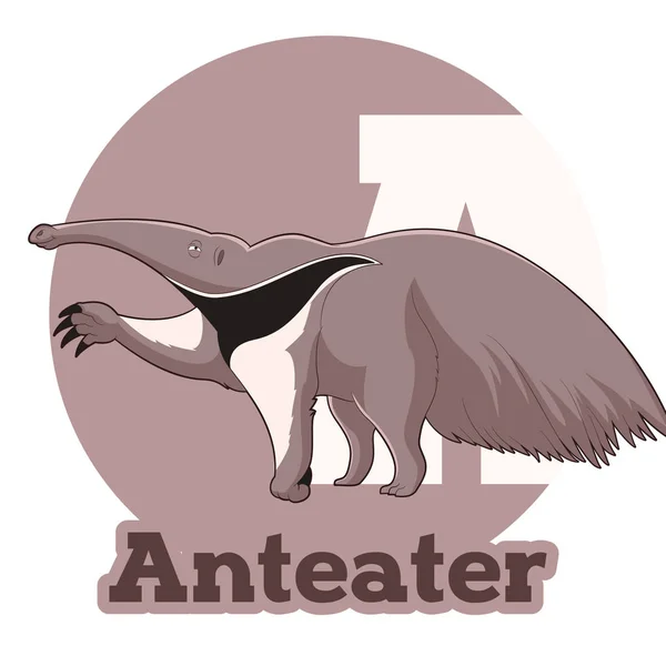ABC tecknad Anteater — Stock vektor