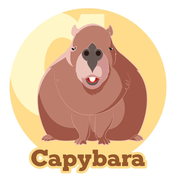 ABC cartone animato Capybara — Vettoriale Stock