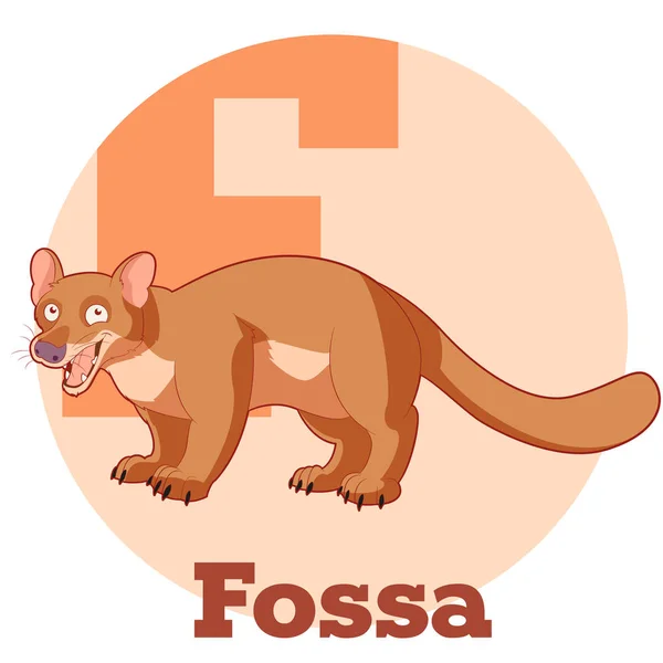 ABC kreslený Fossa — Stockový vektor