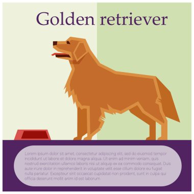 Altın geri almak renkli kartpostal