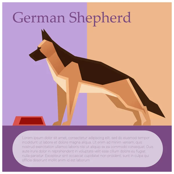 Німецька вівчарка барвисті листівка — стоковий вектор