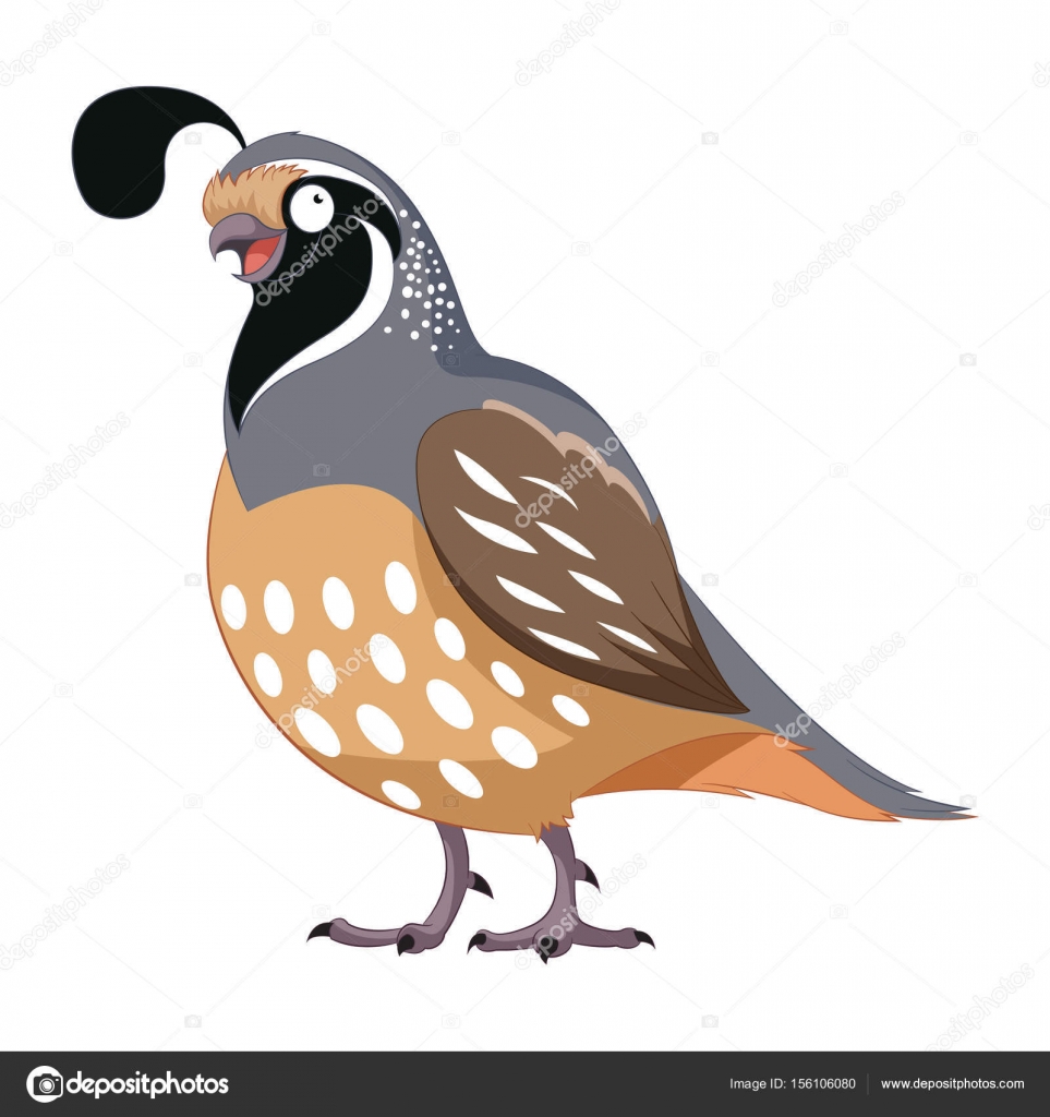 quail silhouette clip art