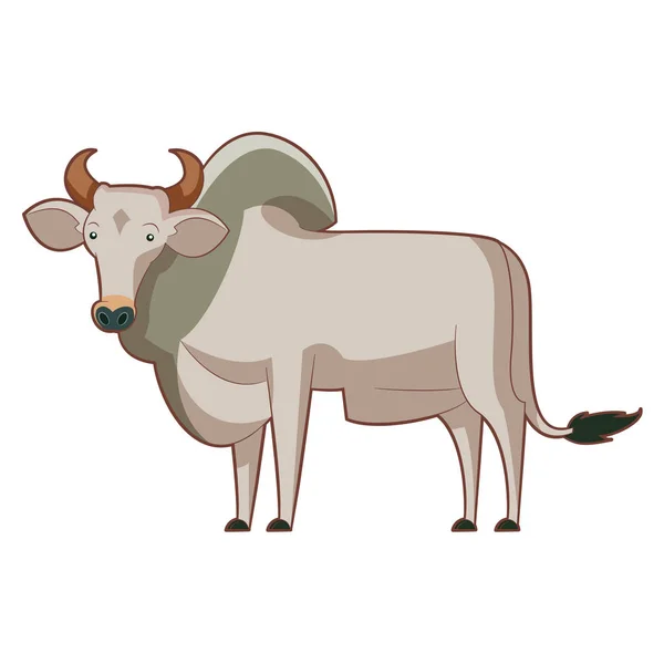 Desenhos animados de pé zebu —  Vetores de Stock