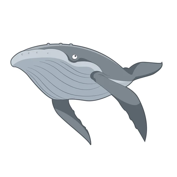Dibujos animados natación ballena — Vector de stock