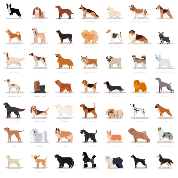 Grand ensemble de dogicons plats — Image vectorielle