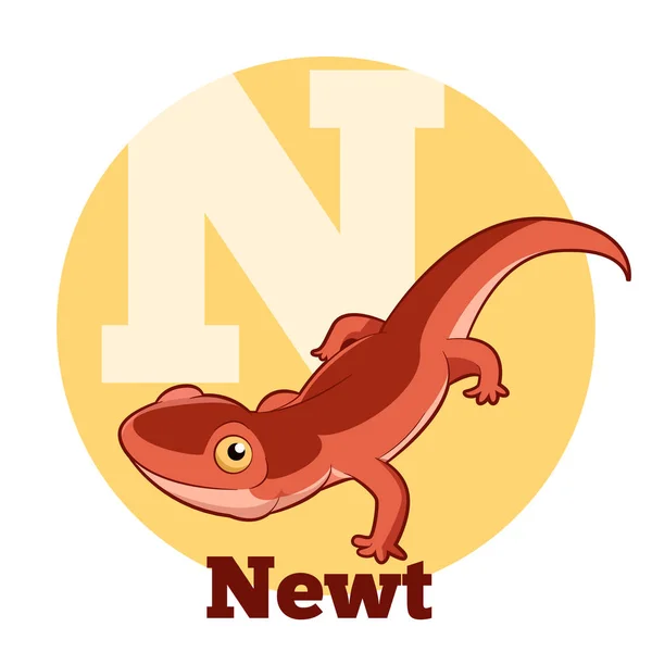 ABC Newt de dibujos animados — Archivo Imágenes Vectoriales