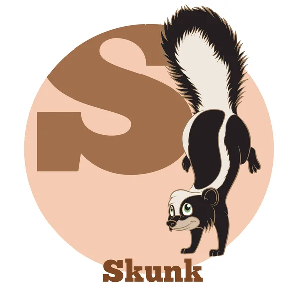 Abc 漫画 Skunk2 — ストックベクタ