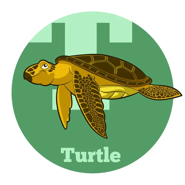 ABC tortuga de dibujos animados — Vector de stock