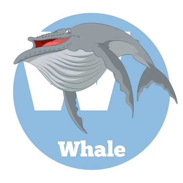 ABC tecknad Whale — Stock vektor