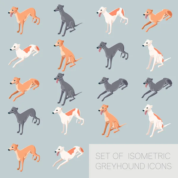 Set van greyhound pictogrammen — Stockvector