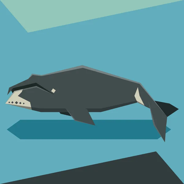Плоский дизайн гренландского кита — стоковый вектор