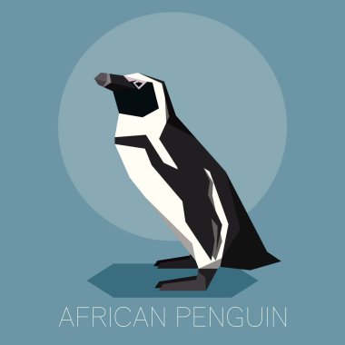 Düz Afrika penguen