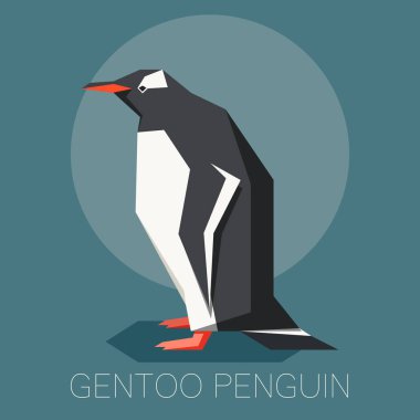 Düz gentoo pengueni