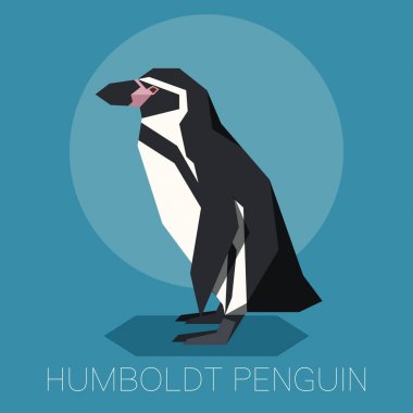Düz Humboldt pengueni
