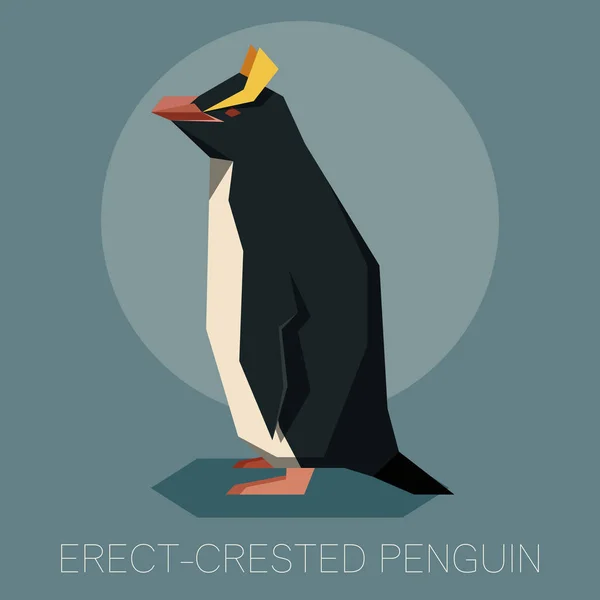Pingüino de cresta erecta plana — Vector de stock