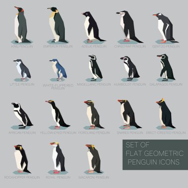 Penguen düz geometrik türler kümesi