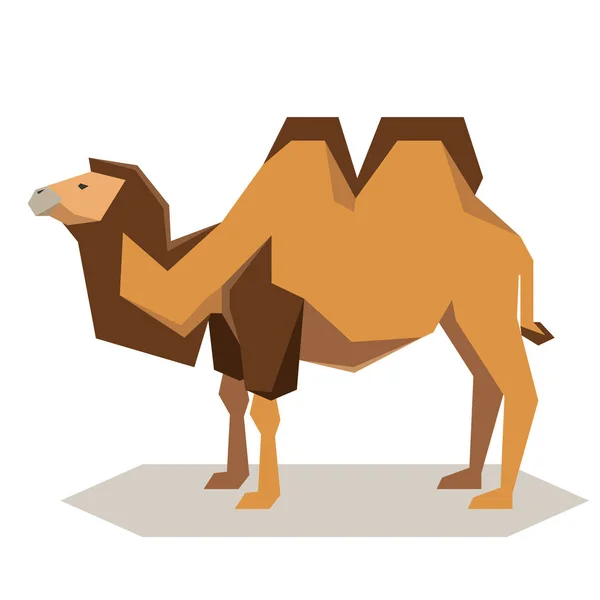 Camello de bactriano geométrico plano — Archivo Imágenes Vectoriales