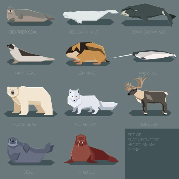 Sada geometrickém zvířat z Arktidy — Stockový vektor