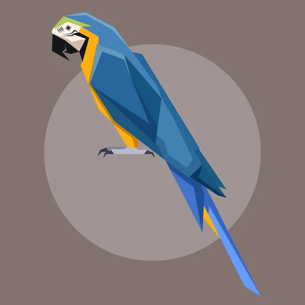 Guacamayo poligonal plano azul y amarillo — Vector de stock