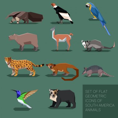 Set of flat geometric south America animals clipart