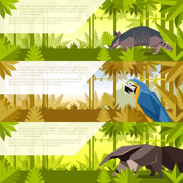 Набір банерів з тваринами Південної Америки — стоковий вектор