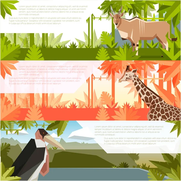 Sada plochých bannery s africkými zvířaty — Stockový vektor