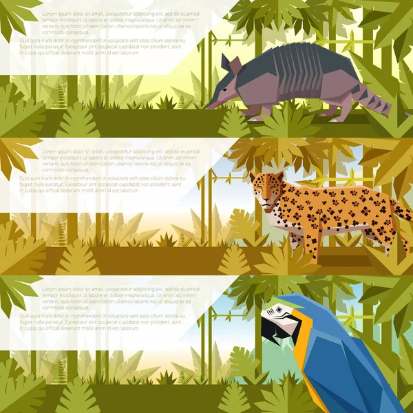 南アメリカの動物とバナーの設定 — ストックベクタ