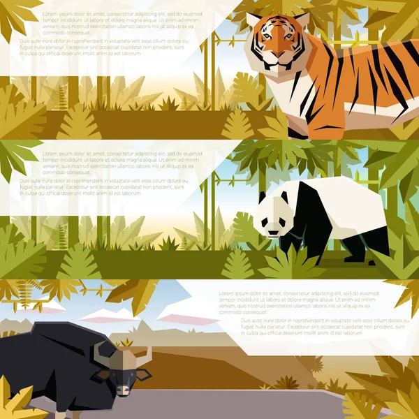 Set de pancartas planas con animales asiáticos — Vector de stock