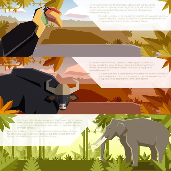 Set de pancartas planas con animales asiáticos — Vector de stock