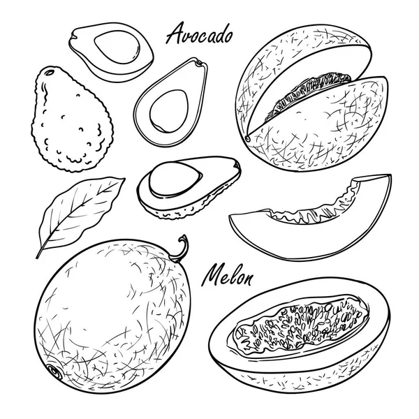 Coleção de frutas: pêssego, ameixa, damasco isolado em branco — Vetor de Stock