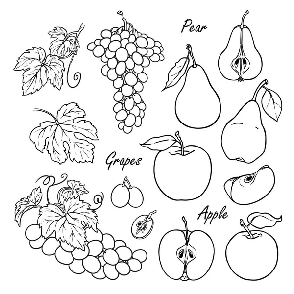 Raccolta di frutta: mela, pera, uva isolata su bianco — Vettoriale Stock