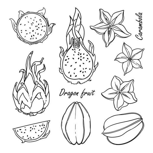 Colección de frutas tropicales: frutos de estrella, frutos de dragón aislados en blanco — Vector de stock