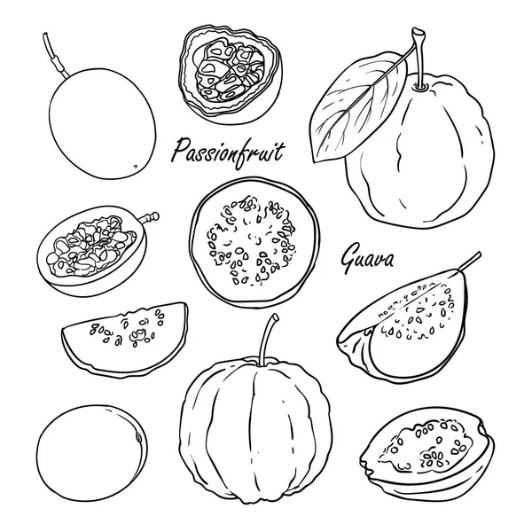 Raccolta di frutti: frutto della passione, guava isolata su bianco — Vettoriale Stock