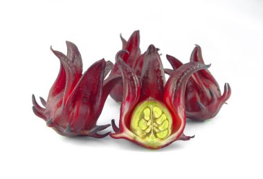 Beyaz arkaplanda Roselle çiçeği