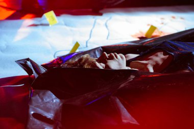 Forensic examination of the crime scene