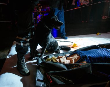 Forensic examination of the crime scene