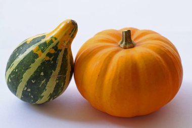 small colorful ornamental pumpkins