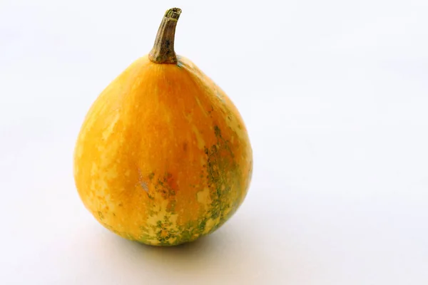 Small Colorful Ornamental Pumpkins — Stok fotoğraf