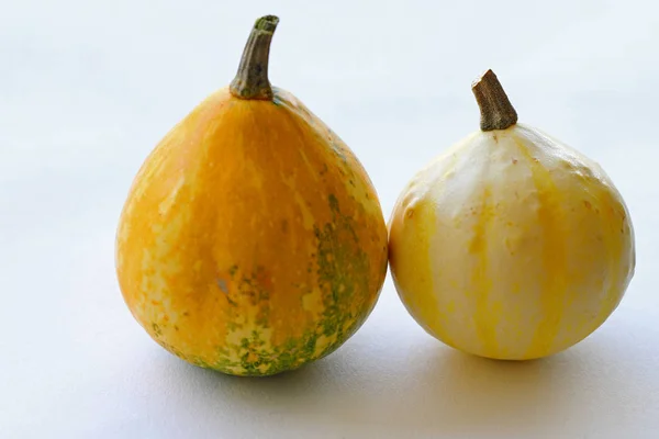 Pequeñas Calabazas Ornamentales Coloridas —  Fotos de Stock