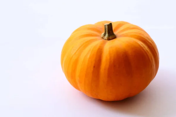 Small Colorful Ornamental Pumpkins — 스톡 사진