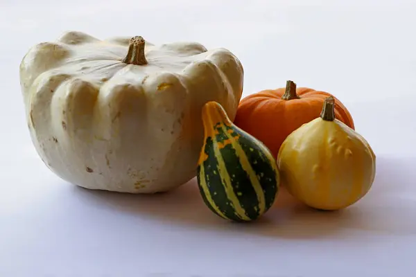Small Colorful Ornamental Pumpkins — Stock Photo, Image