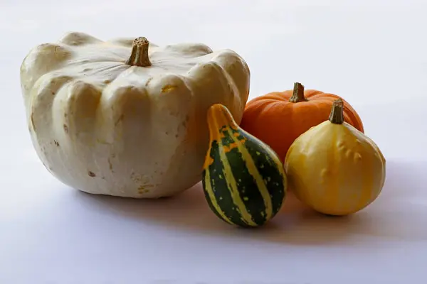 Pequeñas Calabazas Ornamentales Coloridas —  Fotos de Stock