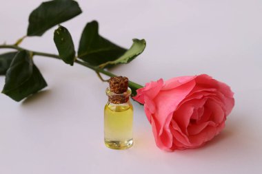 Beyaz arka planda pembe güller ve şişede gül yağı..